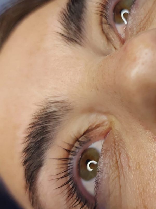 Lash- Browlifting